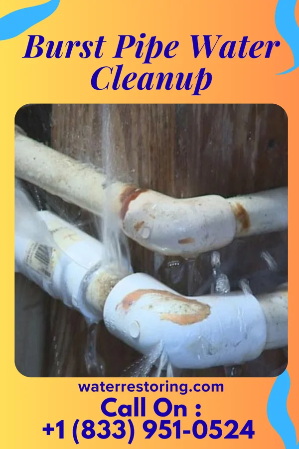 Burst Pipe Water Cleanup in Bayfield, WI