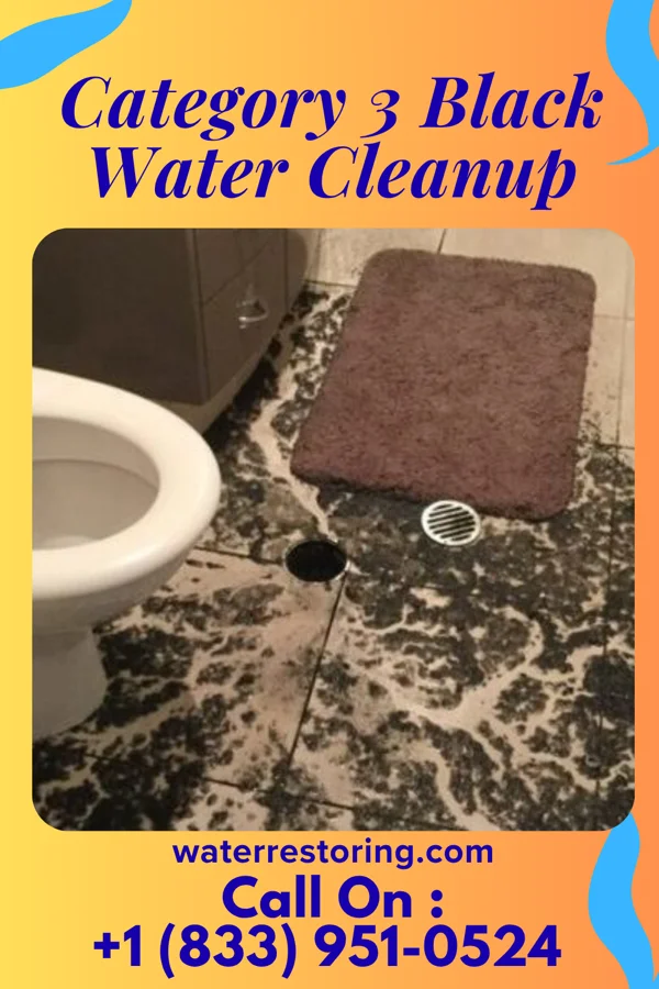 Category 3 Black Water Cleanup in Bayfield, WI