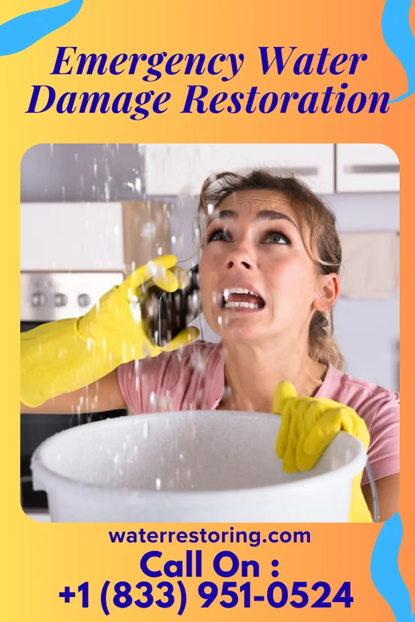 Emergency Water Damage Restoration in Bayfield, WI