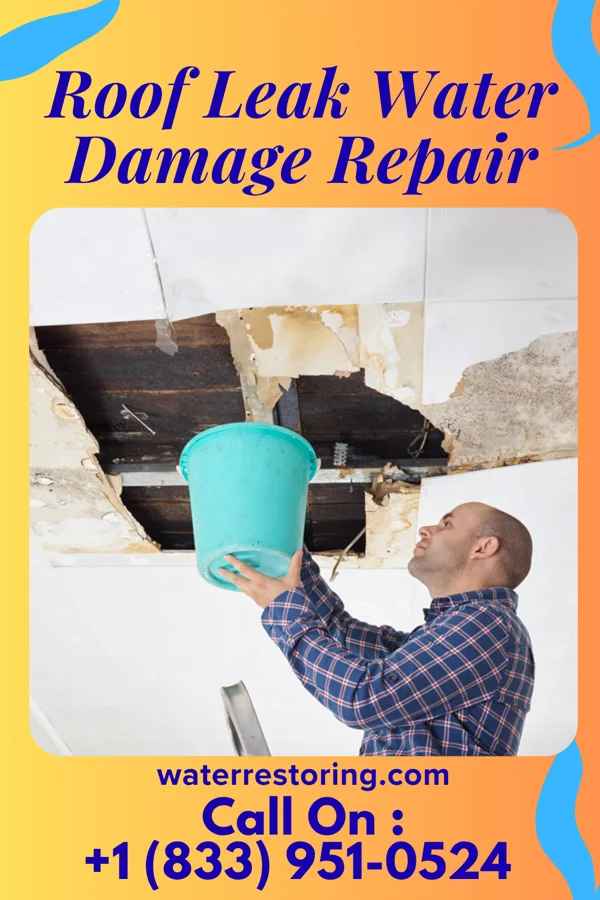 Roof Leak Water Damage Repair in Bayfield, WI